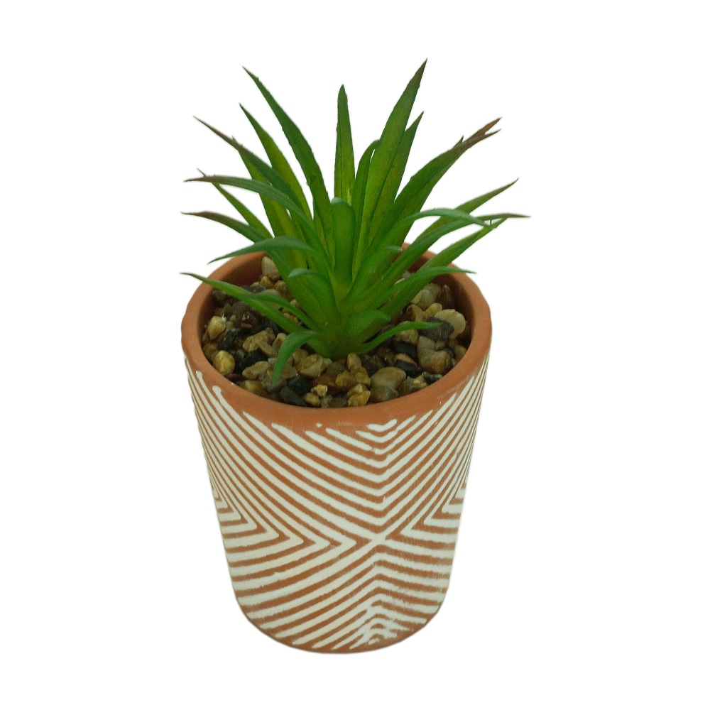 Mini Vaso Suculenta com Planta Ceramica 