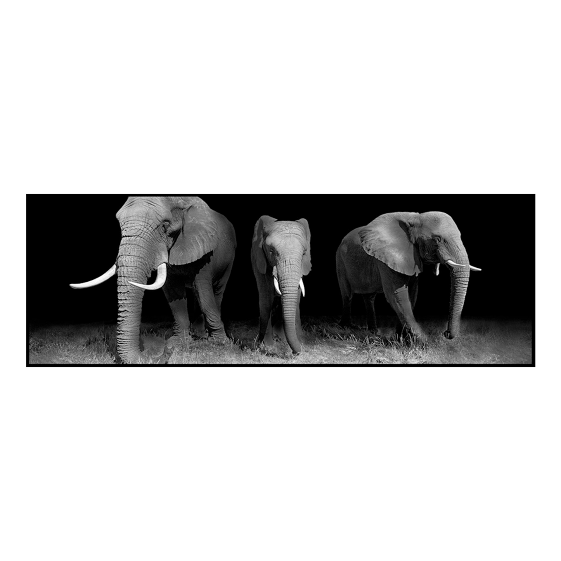 Quadro Decorativo Barcelona Elefante P&B 30x90 cm