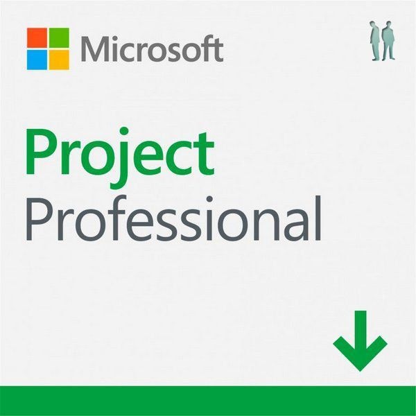 Project Pro 2019 Download