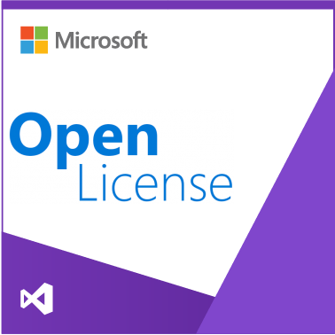 VSProSubMSDN SA OLP NL Gov Qlfd
