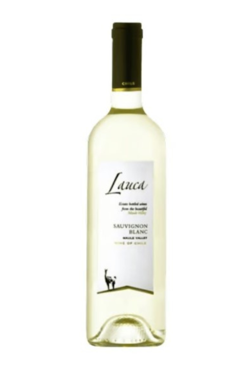 Vinho Branco Lauca Sauvignon Blanc 750ml