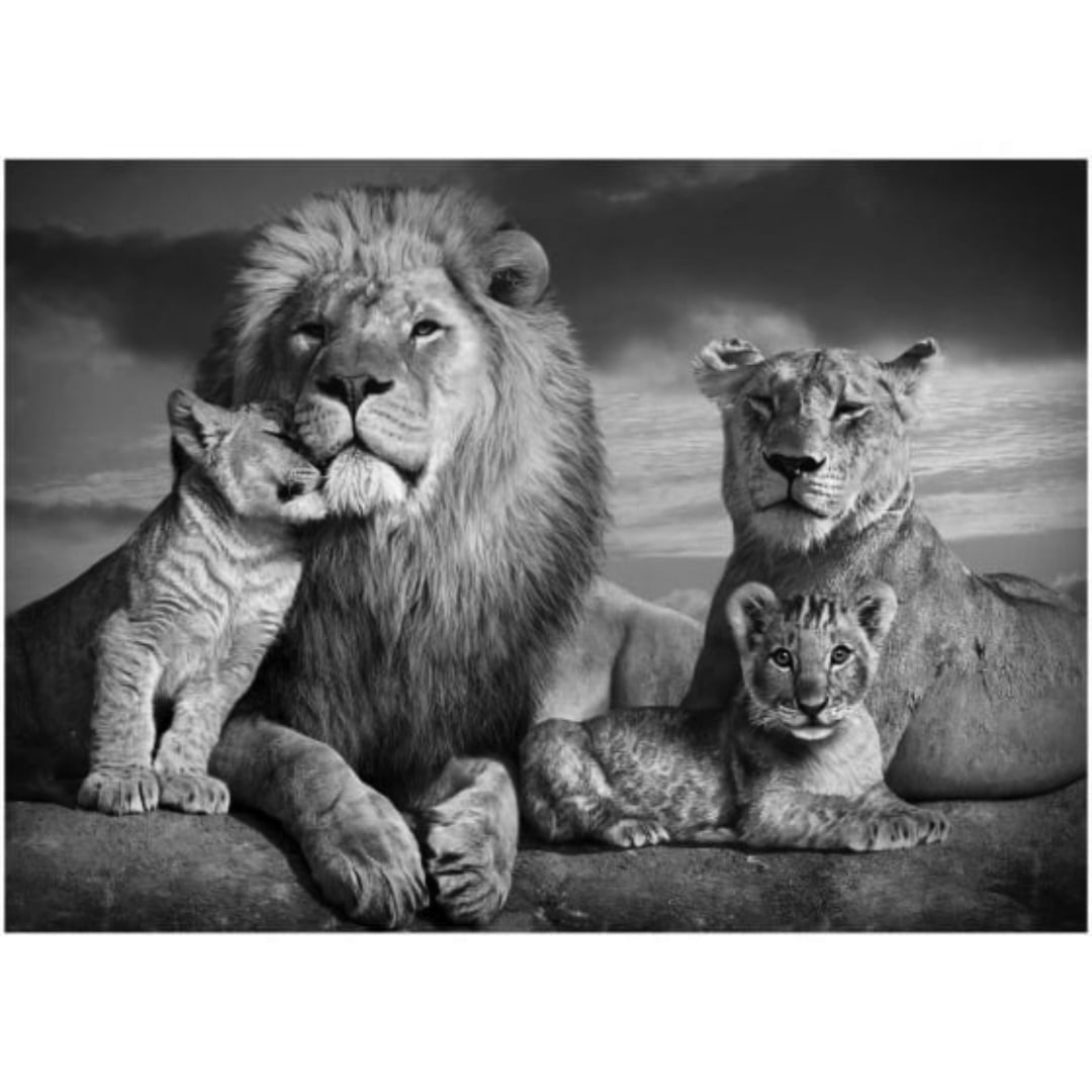 Quadro Decorativo Galeria Família de Leões com Dois Filhotes 