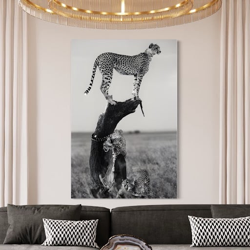 Quadro Decorativo Galeria Guepardo Savana Africana