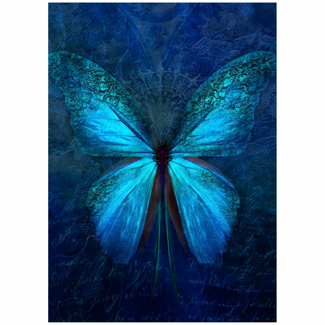 Quadro Decorativo Galeria Borboleta Azul 