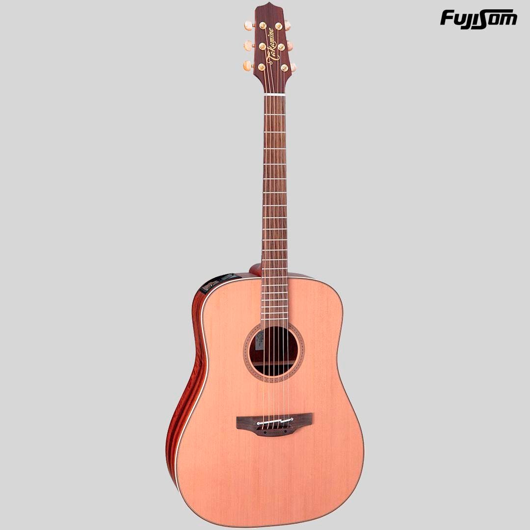 VIOLÃO TAKAMINE AÇO FOLK FN-15 NATURAL FOSCO COM SEMI CASE