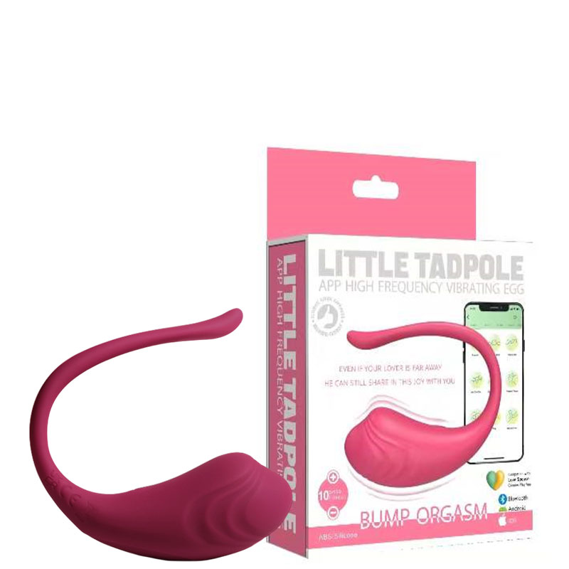 VIBRADOR RECARREGÁVEL C/ CONTROLE VIA APP QUALQUER DISTÂNCIA