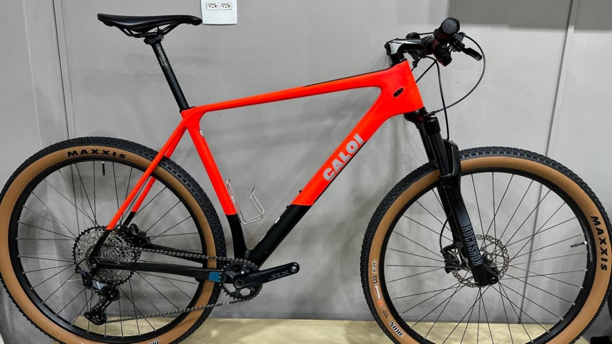 Bicicleta Caloi Elite Carbon Sport- Tam GG (Seminova)