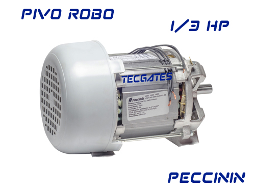 PEC ESTATOR PV ROBO MONO 1/3 220V 10003880