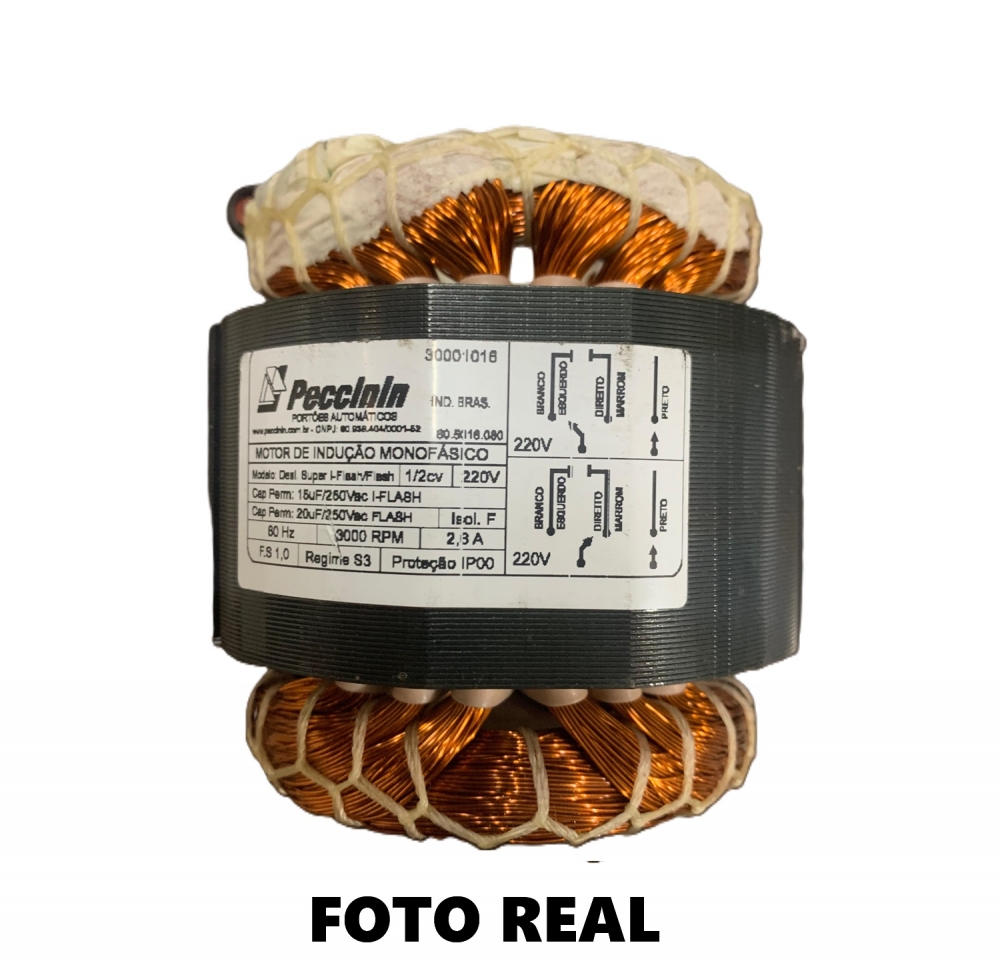 PEC ESTATOR/ROT D SUPER 1/2CV 220V 10004563