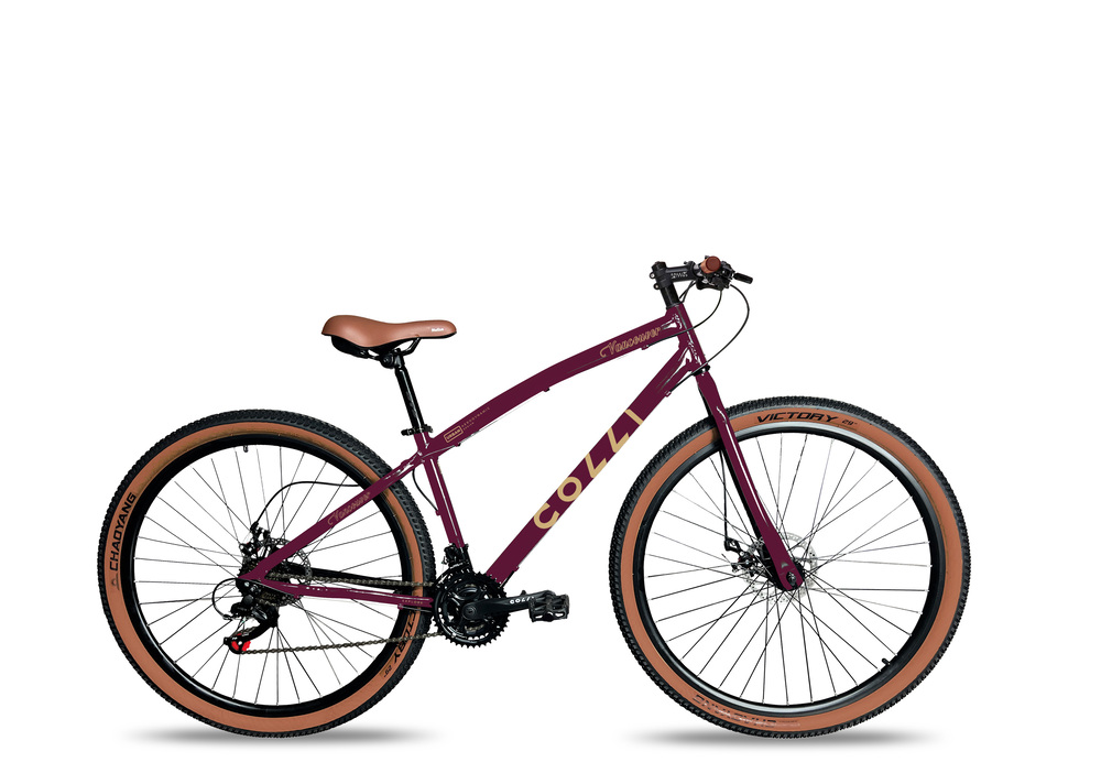 Bicicleta Aro 29 Vancouver 21 Marchas Freio a Disco Colli 