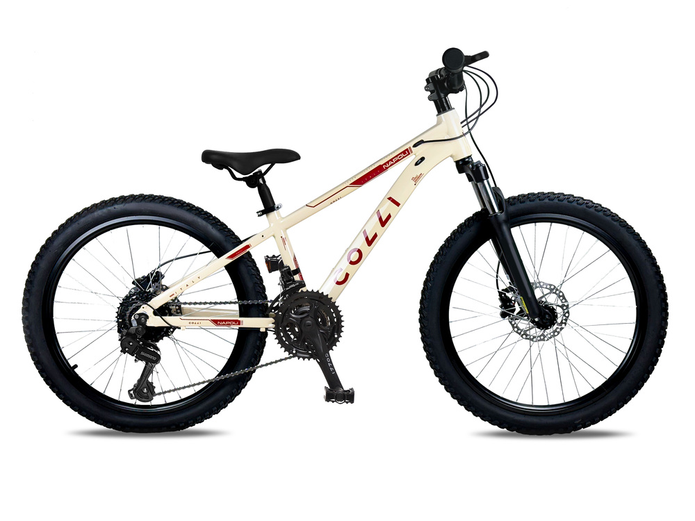 Bicicleta Colli Napoli Sport Aro 24