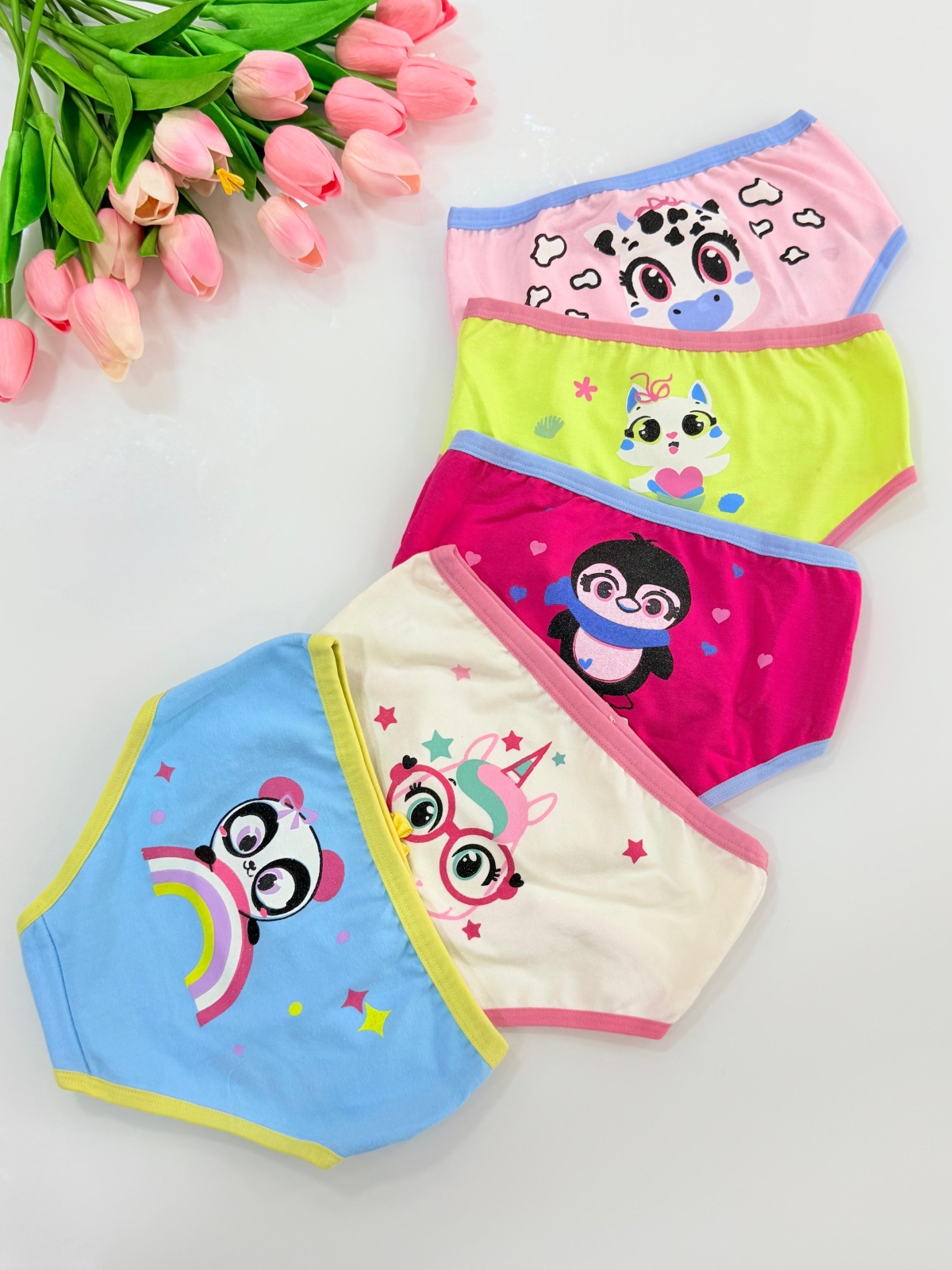 Kit com 5 - Calcinhas Bichinhos