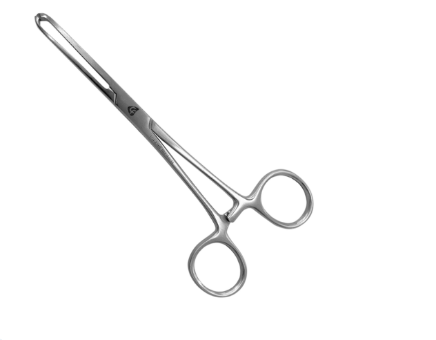 PIN&Ccedil;A ALLIS EM A&Ccedil;O INOX RETA