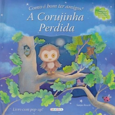 A corujinha perdida: Col. Como é bom ter amigos!