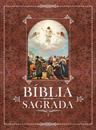 Bíblia Sagrada Ilustrada - Capa Vermelha