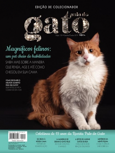 Educação dos gatinhos  Dicas e truques para uma vida feliz