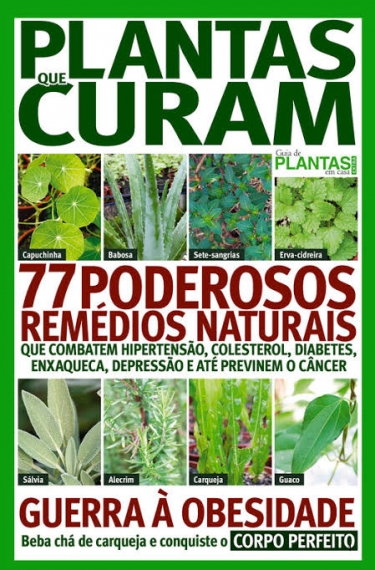 Guia de plantas em casa: Extra - Plantas que curam