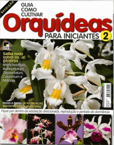 Guia como cultivar: Orquídeas - Para iniciantes - 2