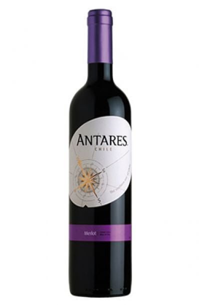 Vinho Antares Merlot (750ml)