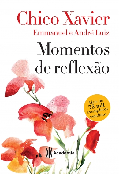 Momentos de reflexão - Chico Xavier - Edição de bolso