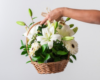 Cesta de Lírios, Gerberas Brancas