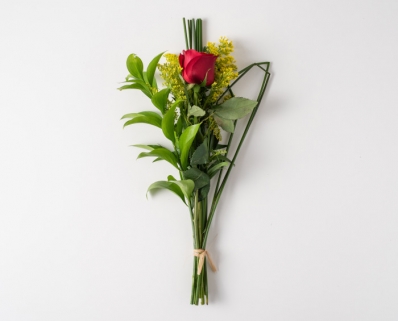 Rosa Solitária Vermelha