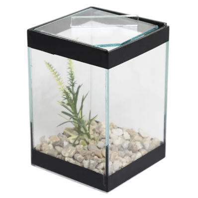 Beteira para Peixe Betta Quadrada - 10X10X15 em Centímetros