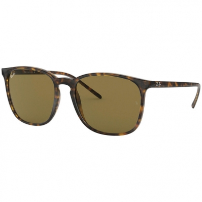 Óculos de Sol RAY BAN 4387 710/73 