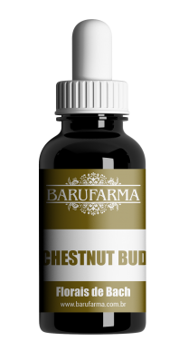 CHESTNUT BUD 30ML