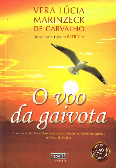 O voo da gaivota