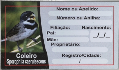 Placa de Identificação de Coleiro Clássica