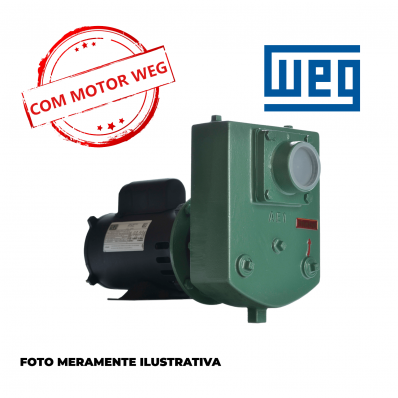 Bomba THEBE / WEG Monofásica AEX-1 1CV 127/220V