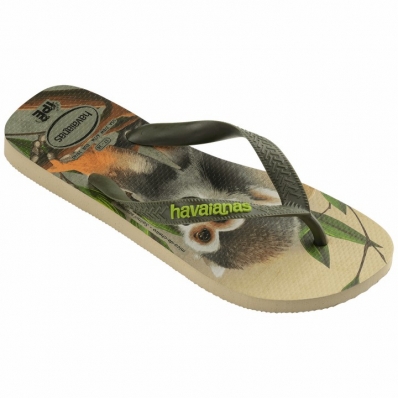 CHINELO DEDO HAVAIANAS IPE