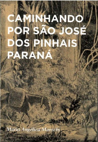 Caminhando por São José dos Pinhais - Paraná