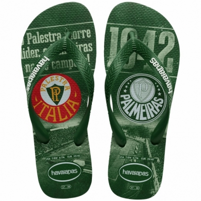 CHINELO DEDO HAVAIANAS TOP PALMEIRAS
