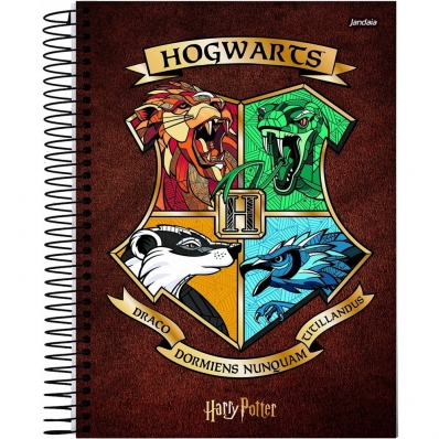 Caderno capa dura universitário 1x1 96 fls Harry Potter
