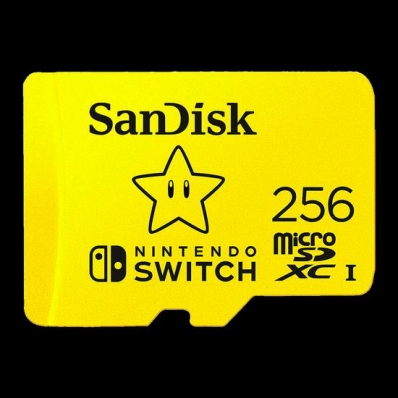 Cartao de Memoria Micro SD Sandisk 256GB / 100MB/s (SDSQXAO-256G-GNCZN)