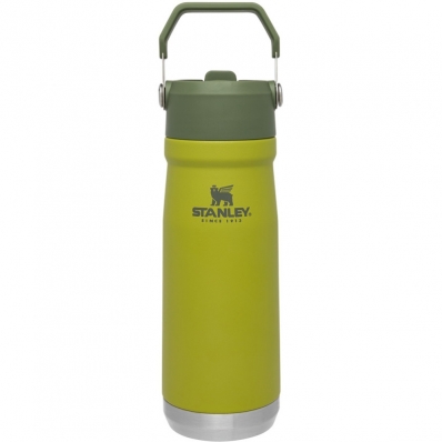 Garrafa Termica com Bico Stanley Classic The Iceflow 10-09992-033 (650ML) Aloe