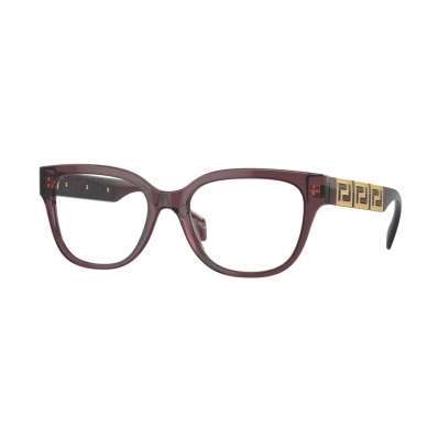 Armação VERSACE 3338 5209