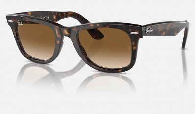 Óculos de Sol RAY BAN 2140 902/51