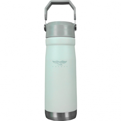 Garrafa Termica Morgan Galway com Pico e Alca - Branco 650ML