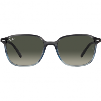 Ray-Ban Leonard RB2193 1381/71