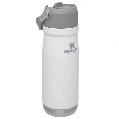 Garrafa Termica Stanley Classic Flip Straw Bottle 09992-031 - 650ML - com Bico - Branco