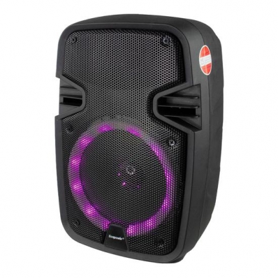 Caixa de Som Ecopower EP-1916 - USB/Aux - - 6500W - 6.5" - Preto