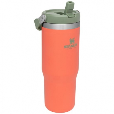 Caneca Térmica Stanley Classic The Iceflow Flip Straw Tumbler 09993-044 - 887ML - com Bico - Guava