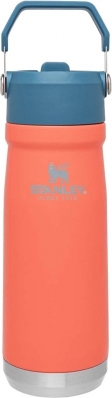 Garrafa Termica com Bico Stanley Classic The Iceflow 10-09992-057 (650ML) Guava