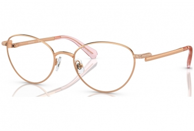 Armação SWAROVSKI 1002 4014