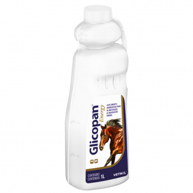 GLICOPAN ENERGY - 1 Litro