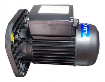 MOTOBOMBA FLUVIA 1/2 CV IP55 220V MONO 60HZ BR