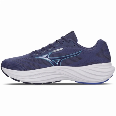 TENIS MIZUNO GOYA 2